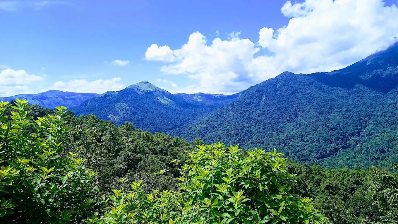 Nature Stay